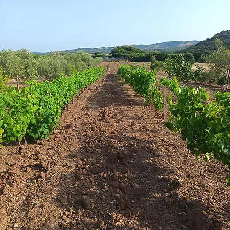 Residenza Il Vialetto Casa vacanze